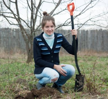 Baharda ahududu eken kadın bahçıvan.