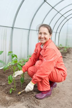 Turuncu eşofmanlı kadın serada.