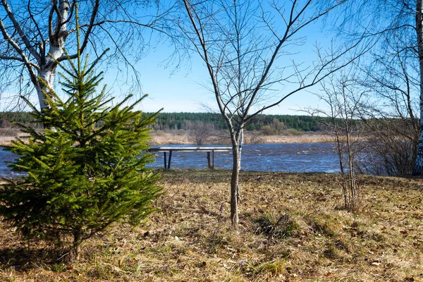 Spring flood on river. Flooded meadows at Nerl  River near Susdal, Vladimir region, Russia