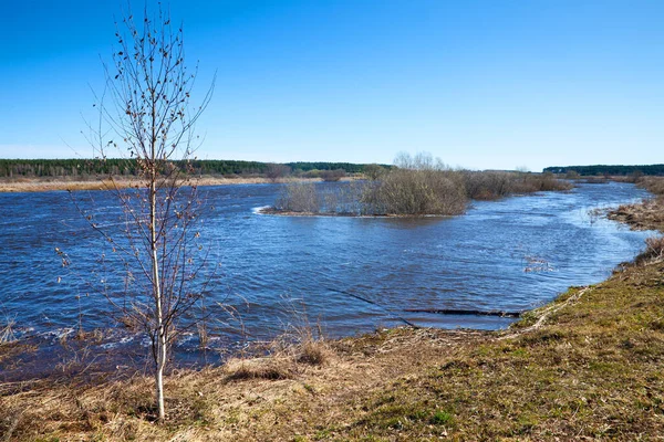 Spring flood on river. Flooded meadows at Nerl  River near Susdal, Vladimir region, Russia