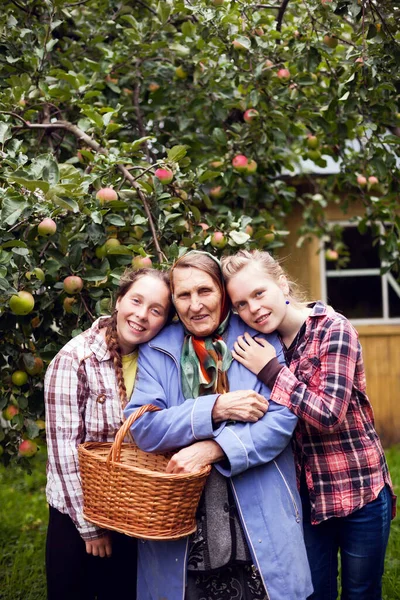 Potret Cucu Perempuan Dengan Nenek Mereka Kebun Apel Musim Gugur — Stok Foto