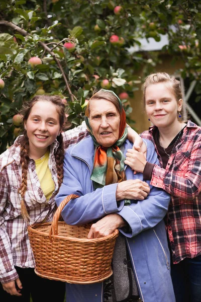 Дві Дівчинки Підлітки Обіймають Бабусю Селі Осінньому Яблучному Саду — стокове фото