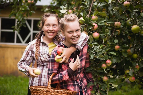 Jardim Adolescentes Comendo Frutas Colheita Outono Menina Escolhendo Maçãs Orgânicas — Fotografia de Stock