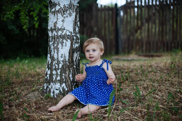 Kleines Mädchen Von Einem Jahr Blauer Socke Sitzt Neben Birke — Stockfoto