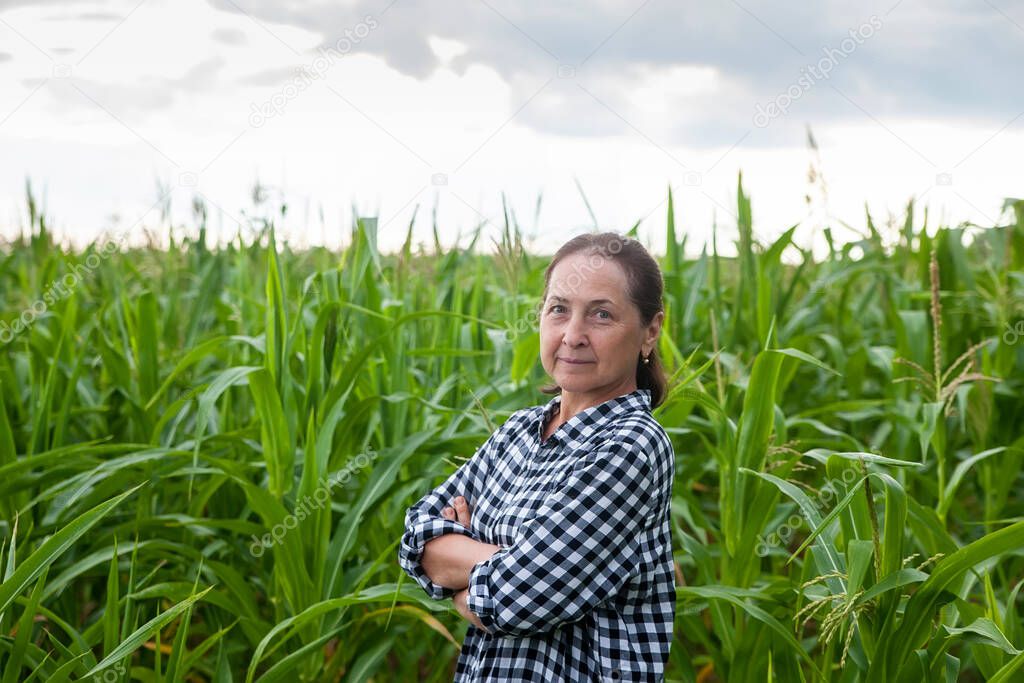  Mature female farmer with hands on his chest  in   field of corn 