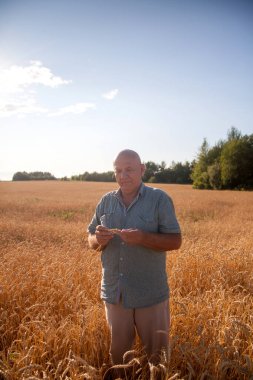  Buğday tarlasında duran yaşlı erkek çiftçinin portresi