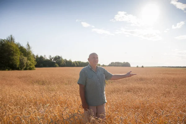 Ηλικιωμένος Άνθρωπος Αγρότης Χρυσό Τομέα Του Σιταριού — Φωτογραφία Αρχείου