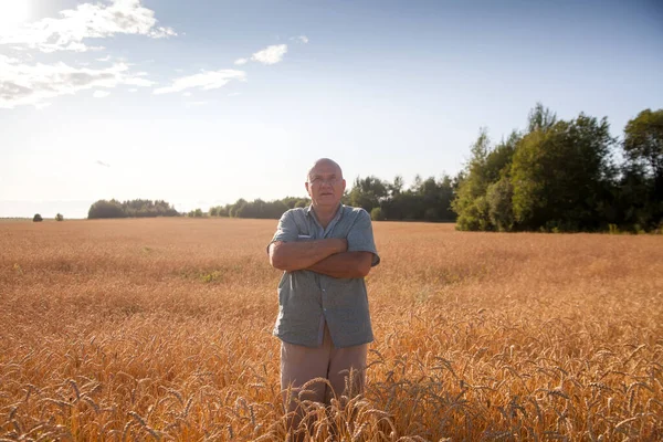 Ritratto Anziano Agricoltore Sesso Maschile Piedi Nel Campo Grano — Foto Stock