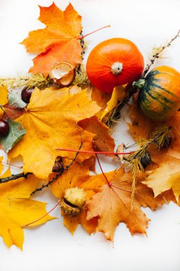 Sonbahar, sarı yapraklar ve beyaz arka planda meyvelerle sakin bir hayattır.  