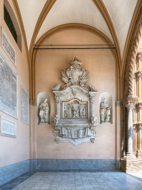 küçük tüylü tavuklar