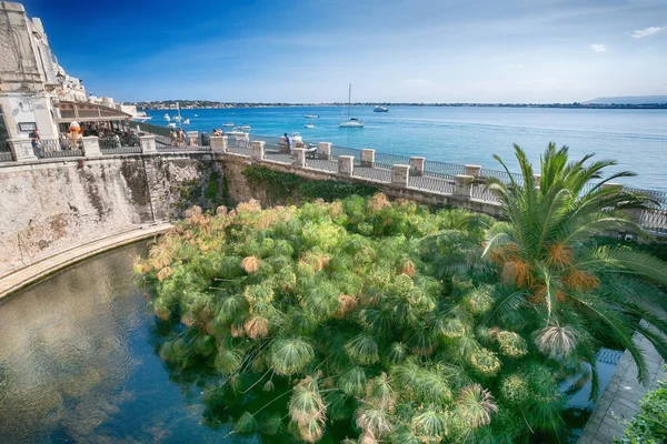 Fontana di Aretusa a Ortigia, Siracusa, Sicilia, Italia — Foto Stock