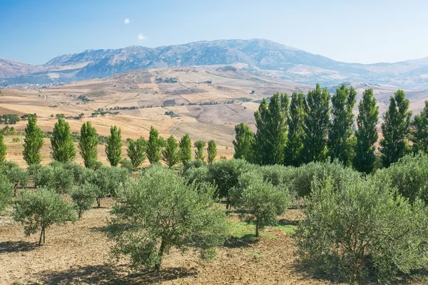 Paesaggio interno della Sicilia nella giornata estiva, Sicilia isola Italia — Foto Stock