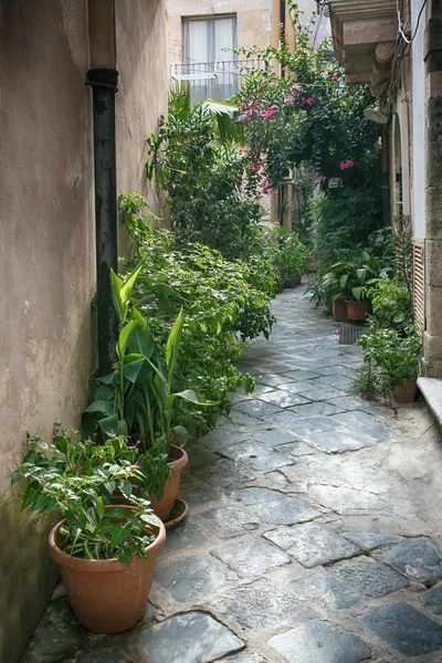 Street decoration with plants and flowers in medieval town Siracusa — Stock Photo, Image