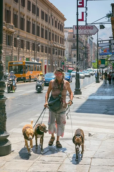 Un hombre paseando por una calle concurrida en Palermo guiando a tres perros —  Fotos de Stock