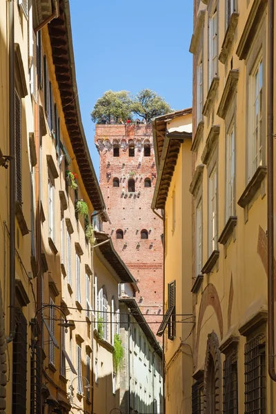 Guinigi tower in Lucca, Italy — Stock Photo, Image