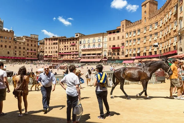 Náměstí Piazza del campo siena, Toskánsko, Itálie — Stock fotografie