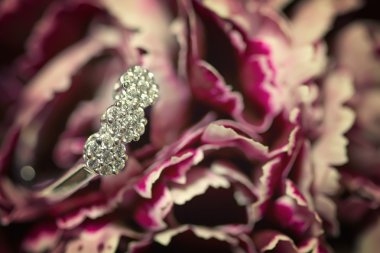 Elmas yüzük bir pembe çiçek