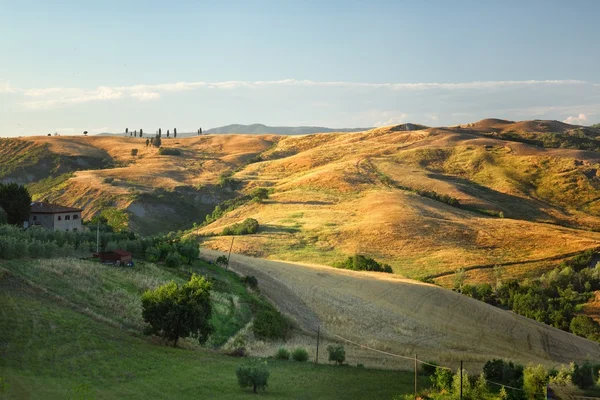 Vista panorámica del paisaje típico de la Toscana — Foto de Stock