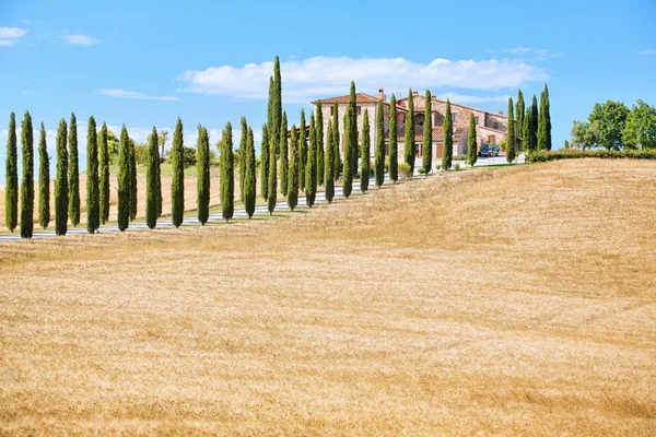 Belvedere de Toscana —  Fotos de Stock