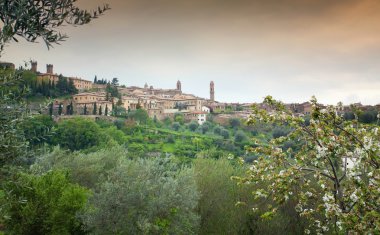 Montalcino, Toskana panoramik görünümü. İtalya