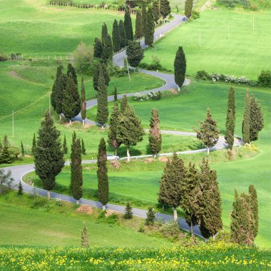 Tuscana peyzaj - road Serpantinli