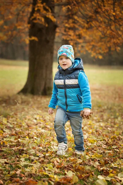 Portrait petit garçon dans le parc d'automne — Photo