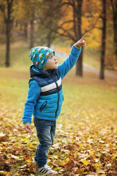 Retrato menino no parque de outono — Fotografia de Stock