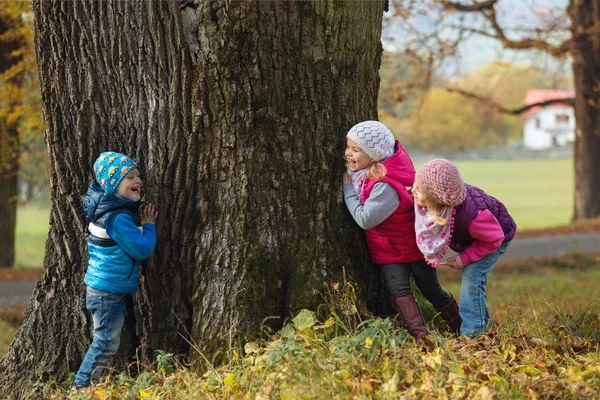 Enfants jouant à cache-cache — Photo