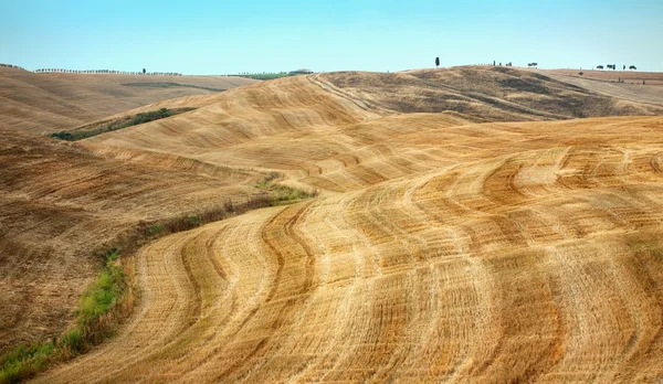 Typisch landschap van Toscane — Stockfoto