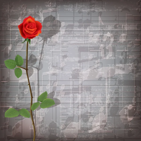 Abstract grunge music background with red rose — Stock Vector