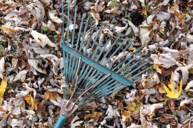 Düşen yapraklar ve Bahçe komisyon