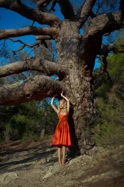 Hermosa dama y árbol poderoso —  Fotos de Stock