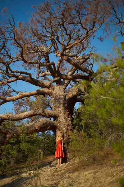 Schöne Dame und mächtiger Baum — Stockfoto