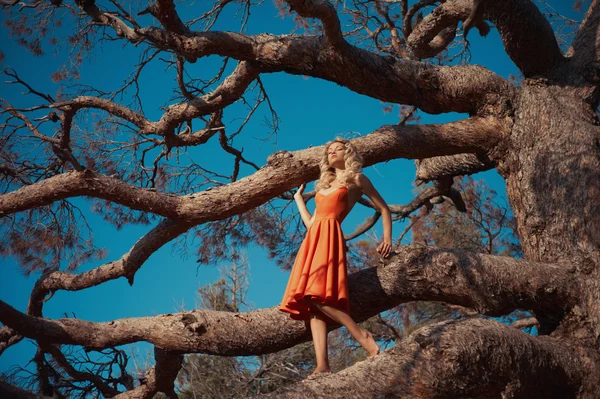 Bella signora e albero possente — Foto Stock