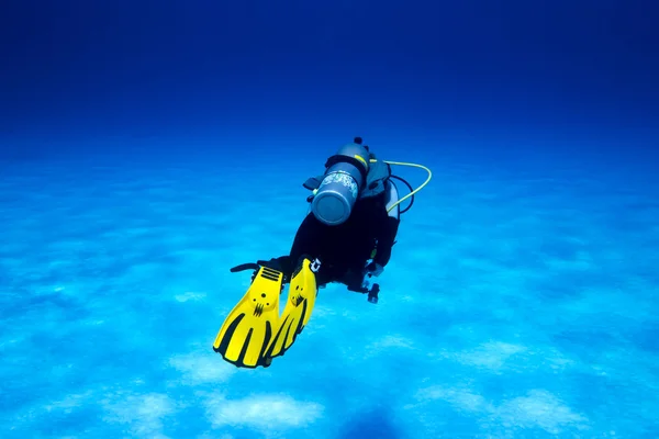 Diver över sandbotten — Stockfoto