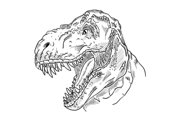 Вектор Эскиз Головы Динозавра Открытым Ртом — стоковый вектор