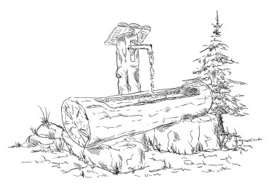 ahşap su birikintisinin