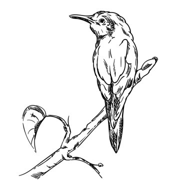 Büyük Haç - arka plan üzerinde izole