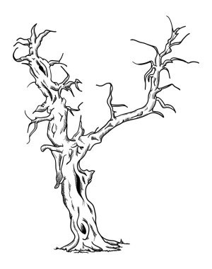 vektör - büyük yaşlı ağaç 