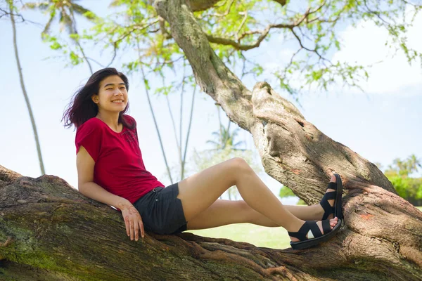 ハワイ州オアフ島の海沿いの公園で大きな木の枝でリラックスしている10代の女の子 — ストック写真