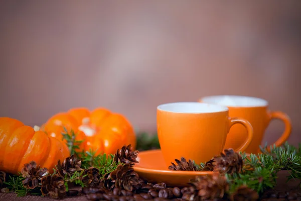 Delicious coffee in orange cups, small  pumpkins and pine boughs — Stock Photo, Image