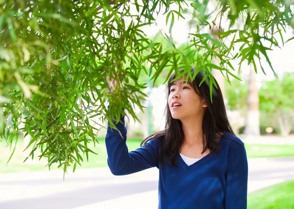 Young teen girl outdoors, reaching up to touch leaves on tree — 图库照片