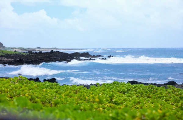 ハワイの溶岩岩岩海岸 — ストック写真