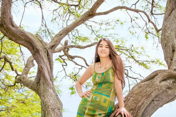 Tiener meisje permanent op grote boomtak in Hawaï — Stockfoto