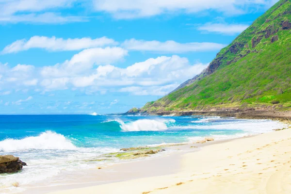 Hermoso paisaje de la costa hawaiana, olas rompiendo o — Foto de Stock