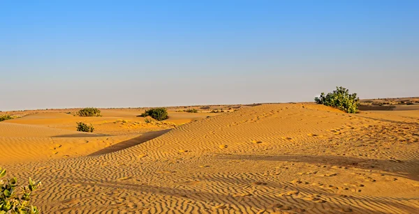 Paisaje del desierto de Thar indio con espacio para copias Fotos de stock libres de derechos