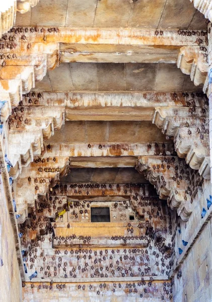 Murciélagos dentro de Golden Fort de Jaisalmer, Rajastán India — Foto de Stock