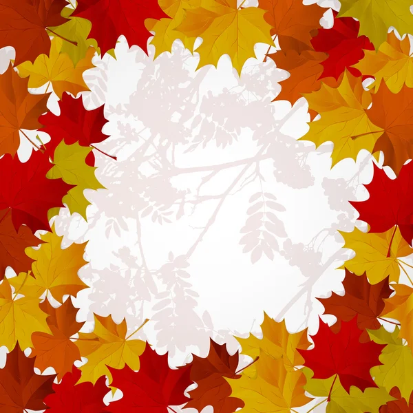 Abstract background with autumn colorful leaves. — Stock Vector