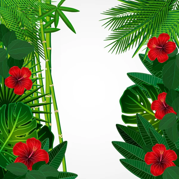 Arrière-plan floral tropical . — Image vectorielle