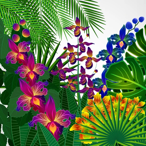 Tropical flowers and leaves. Floral design background. — Stock Vector